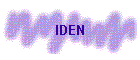 IDEN
