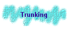 Trunking