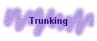 Trunking